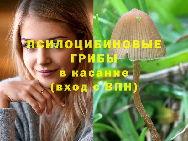 спиды Волоколамск