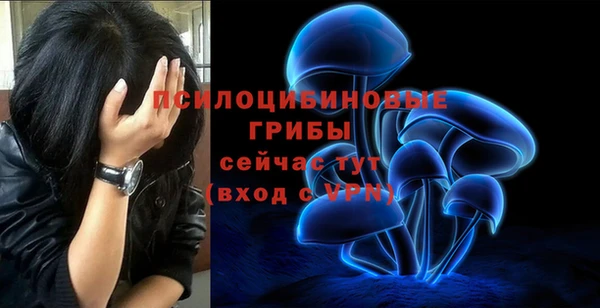 спиды Волоколамск