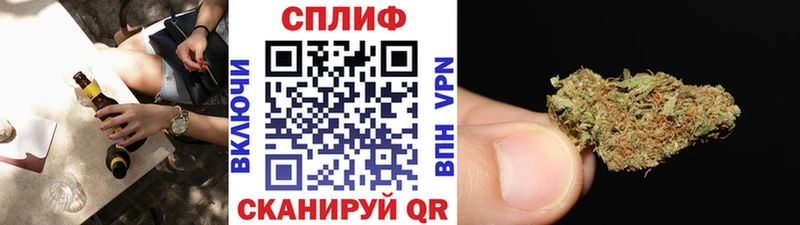 закладка  Судак  Бошки марихуана марихуана 